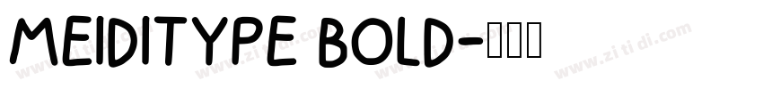 MEIDITYPE BOLD字体转换